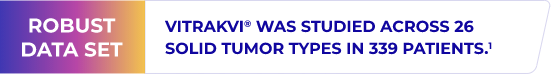 Title Alt tag